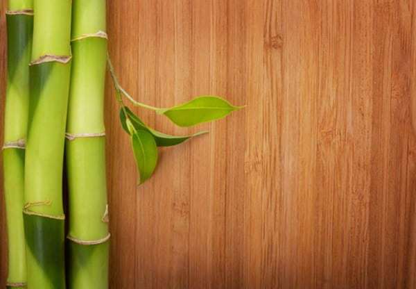 plancher bambou époxy