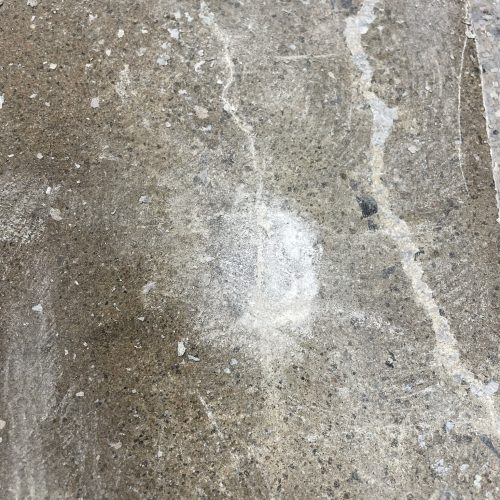 alt="sol de béton efflorescence au printemps"