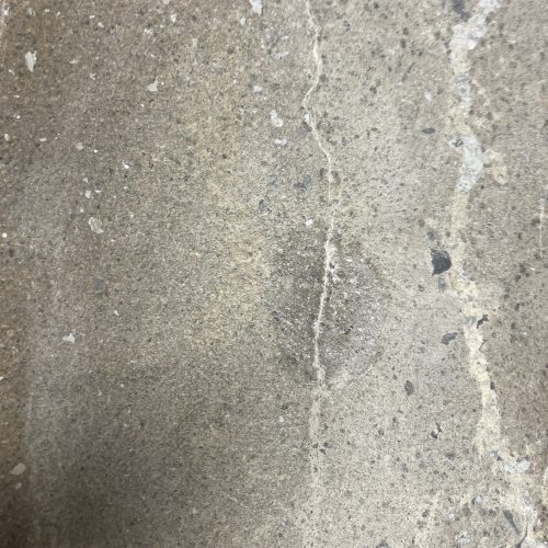 alt="sol en béton efflorescence"